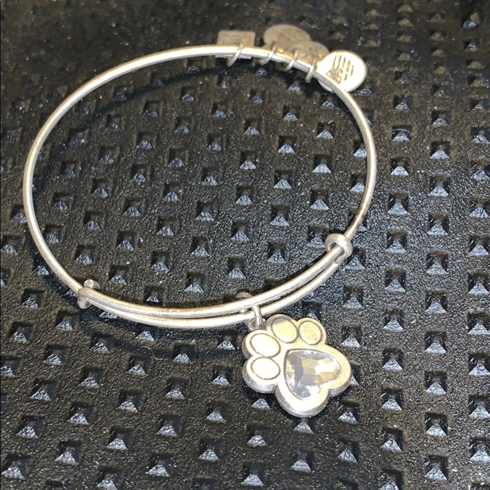 Alex & Ani Dog Bracelet